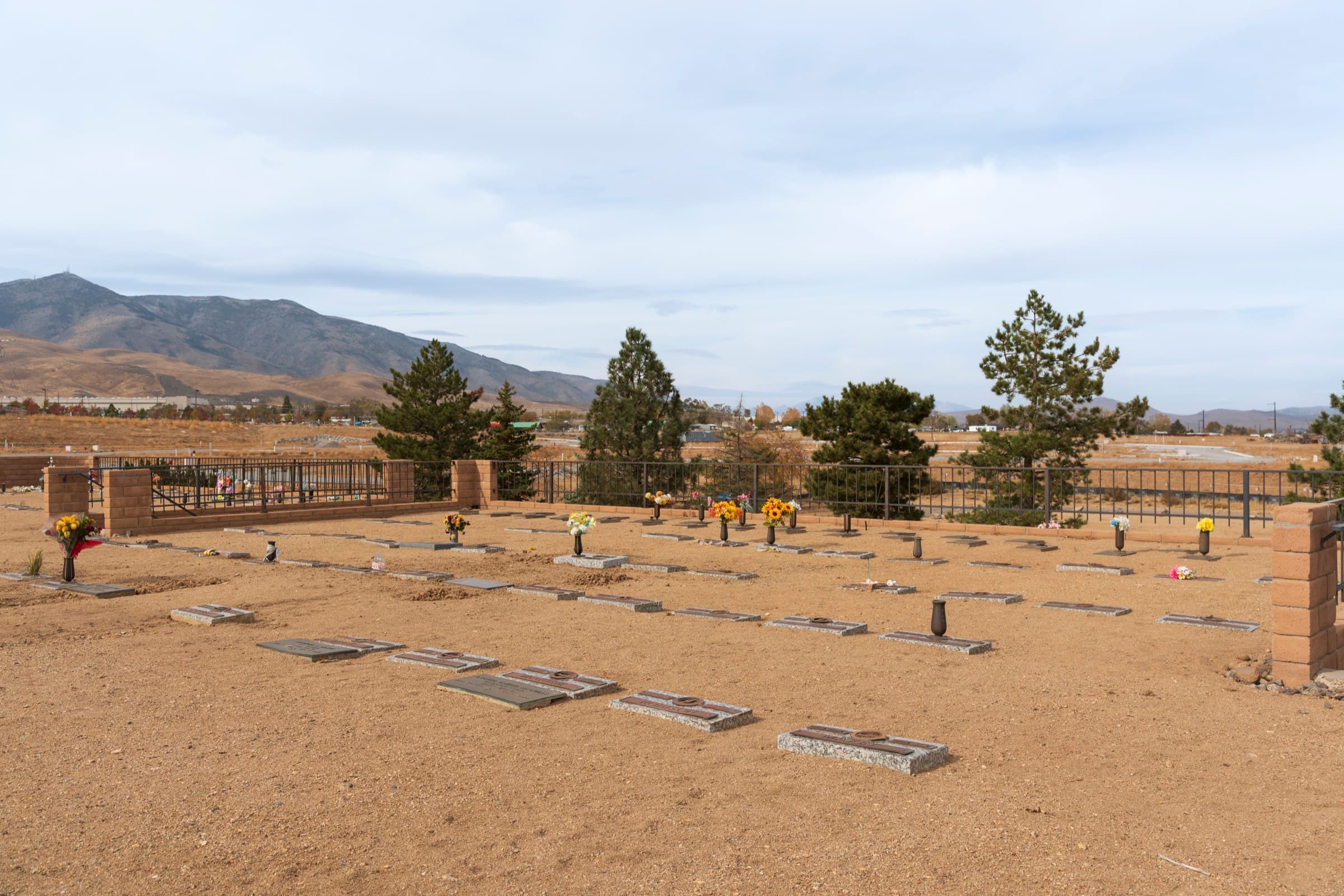 Pines and open grounds at Sierra Memorial Gardens