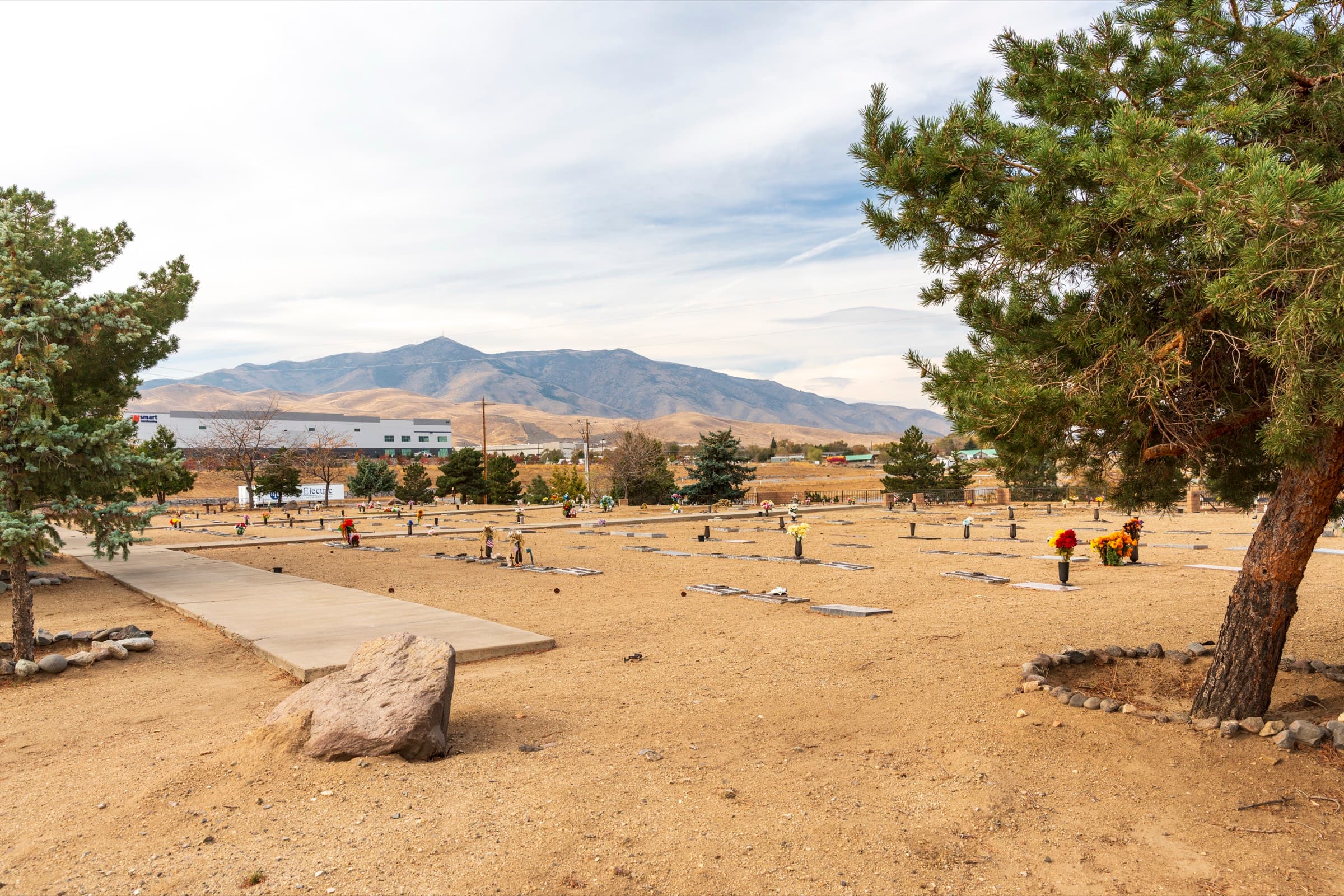 A tree on the grounds with the Northern Nevada mountains beyond